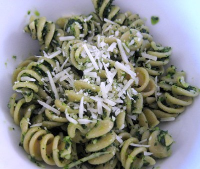 Post image for Kale Pesto Recipe (I Promise it’s Good)